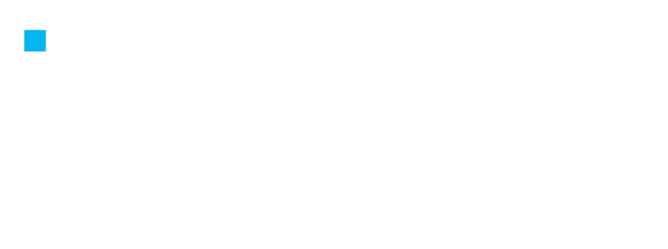 Opus Asset Logo